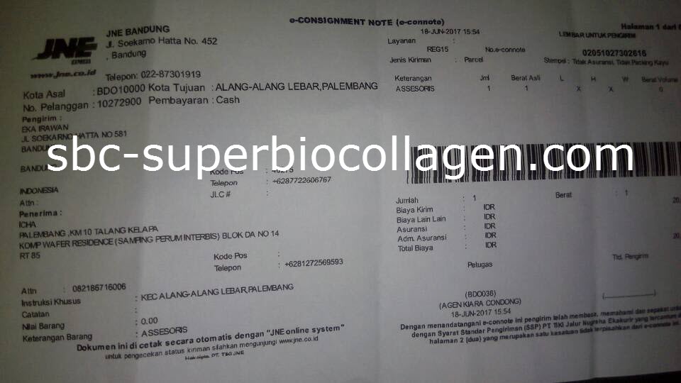 Bukti Kirim Super Bio Collagen ke Palembang